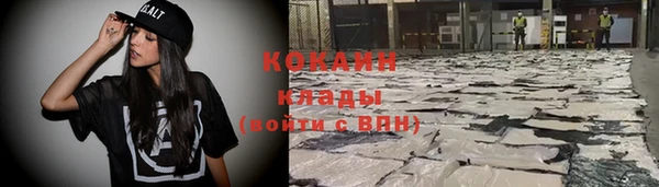 соль ск Осинники