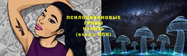 хмурый Осташков