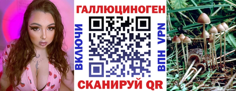 Купить где  Каневская  Псилоцибиновые грибы Cubensis